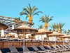 Calido Sol #3